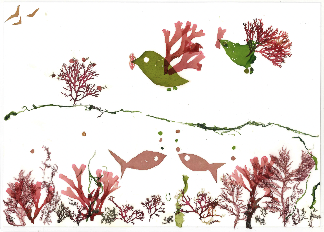 鳥や魚、海中の風景をカラフルな海藻で表現したアート作品の写真