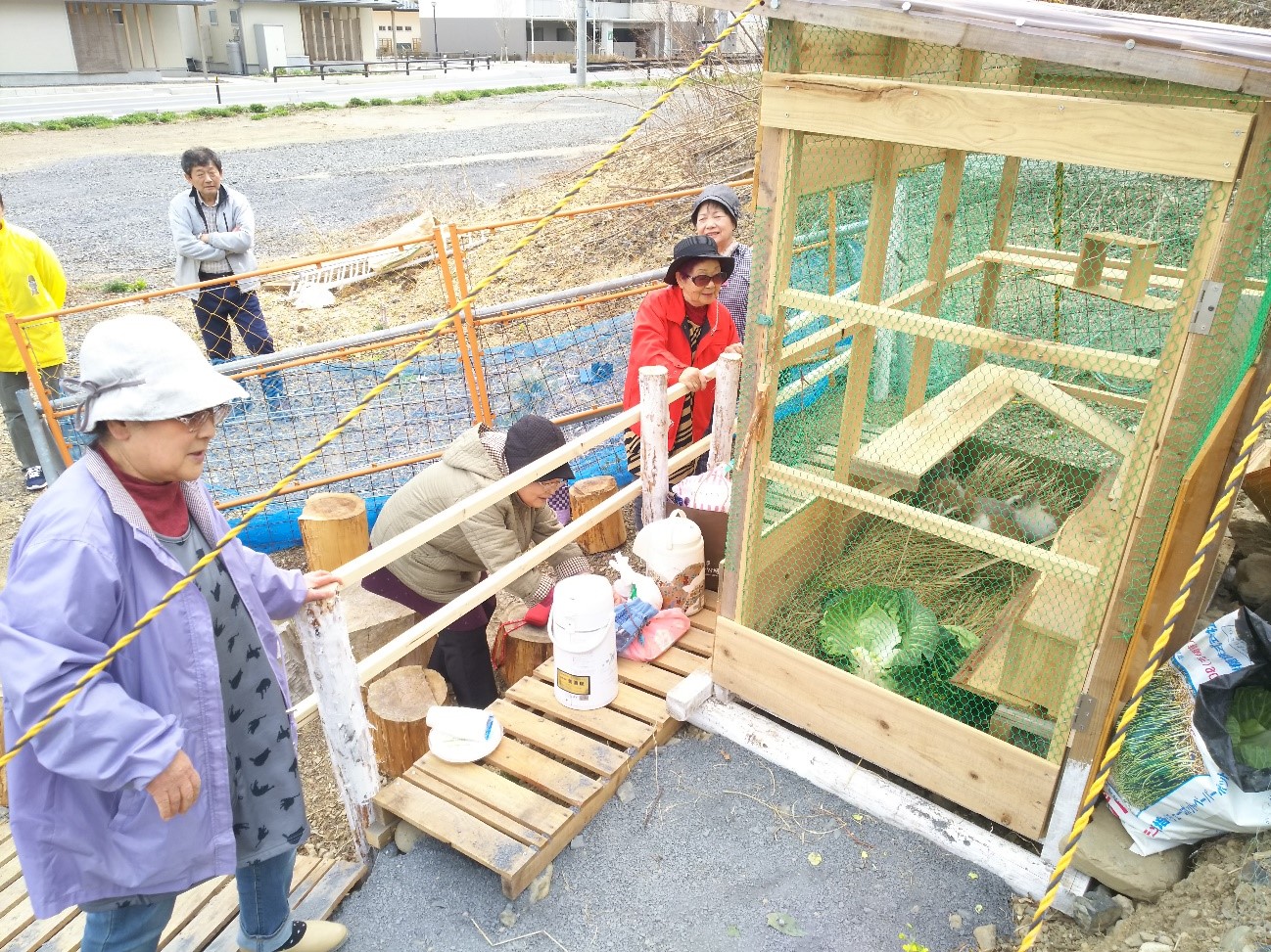 木製の柵に囲まれた手作りのウサギ小屋の前で、数人の高齢の女性がウサギを見ている写真