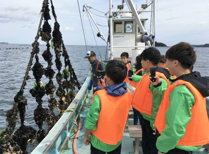 大学生たちが緑のジャンパーの上にライフジャケットを着て漁船に乗り込み、海から引き上げられた牡蠣の養殖ロープを見学・撮影している写真