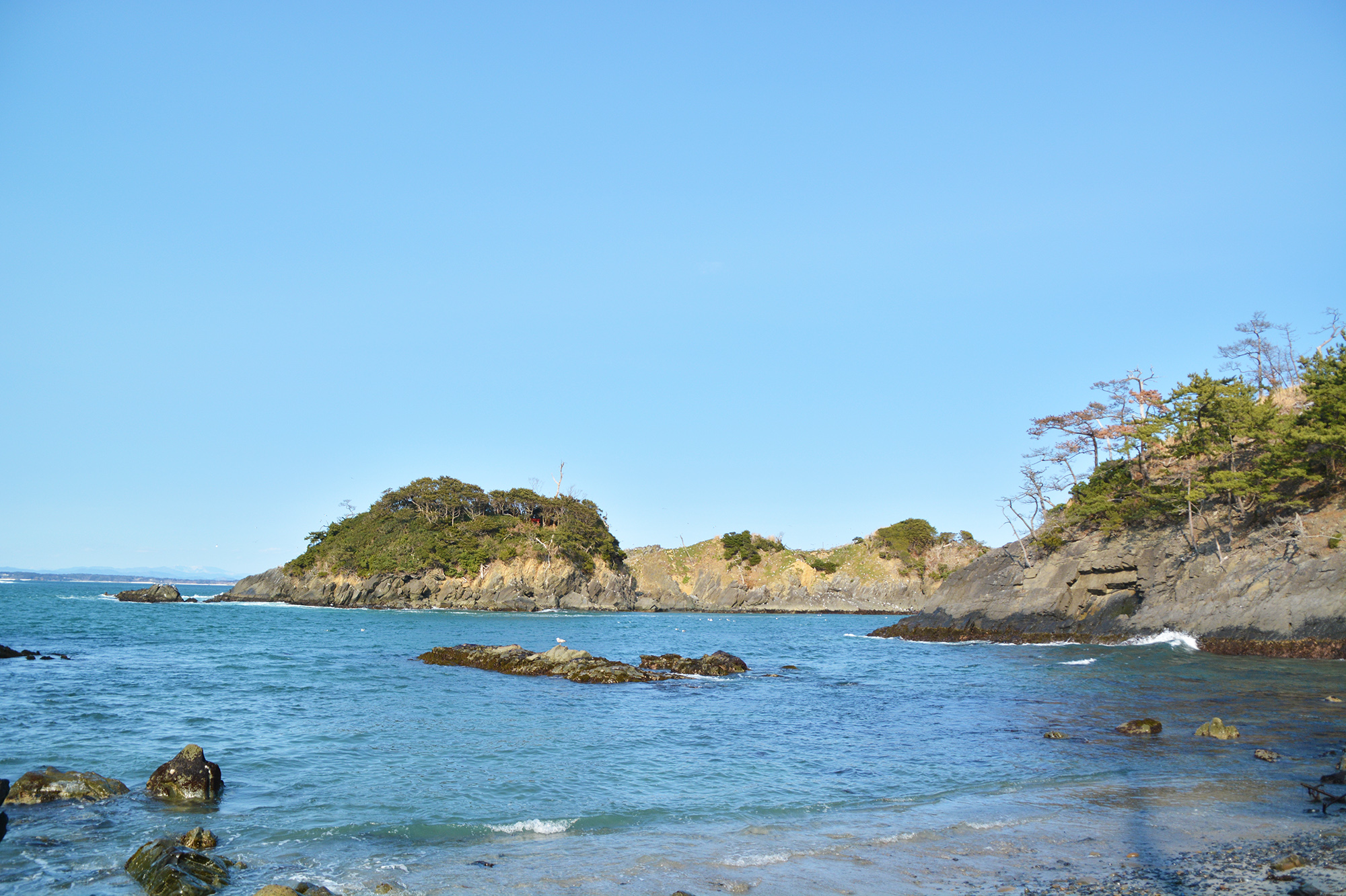 穏やかな青空の下、岩場と木々に囲まれた海岸の入り江を写した風景で、波が穏やかに打ち寄せている写真