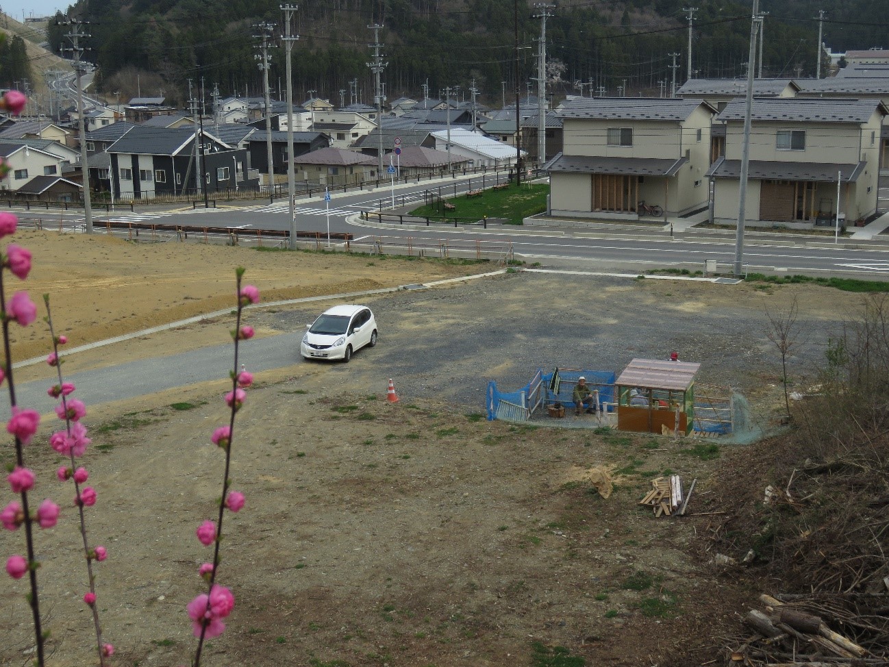 住宅街の外れの空き地にぽつんと建っているウサギ小屋の周囲で人が集まっており、ピンク色の花が咲く木の枝越しにその様子を遠くから見下ろしている写真