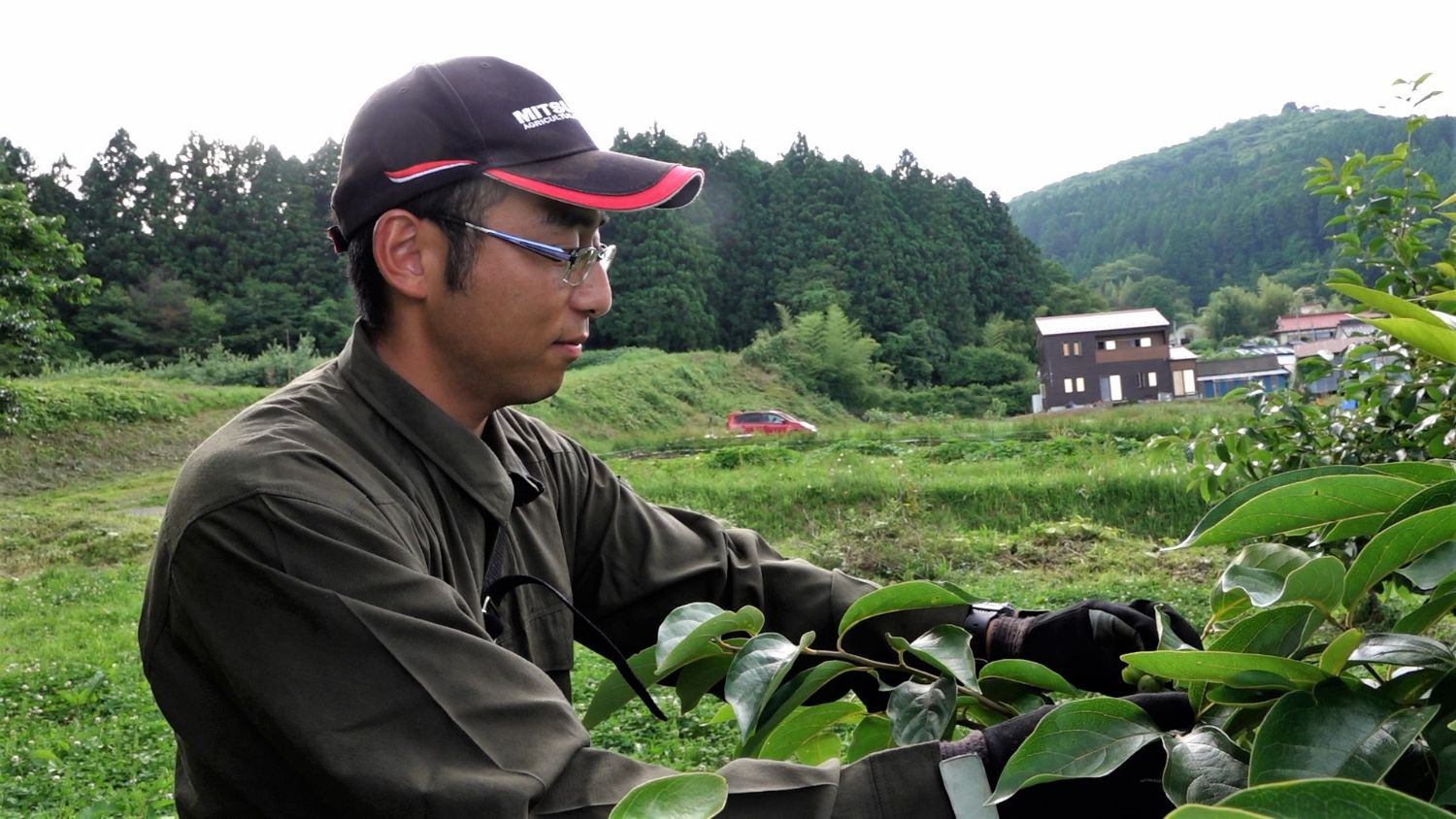 果樹園で太田一さんが柿の木の手入れをしている写真