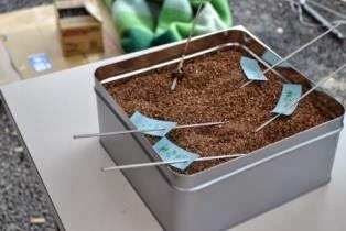 長方形の金属容器に土のような粒状の素材が入っており、複数の細い金属棒が文字が書かれた付箋と一緒に差し込まれている写真