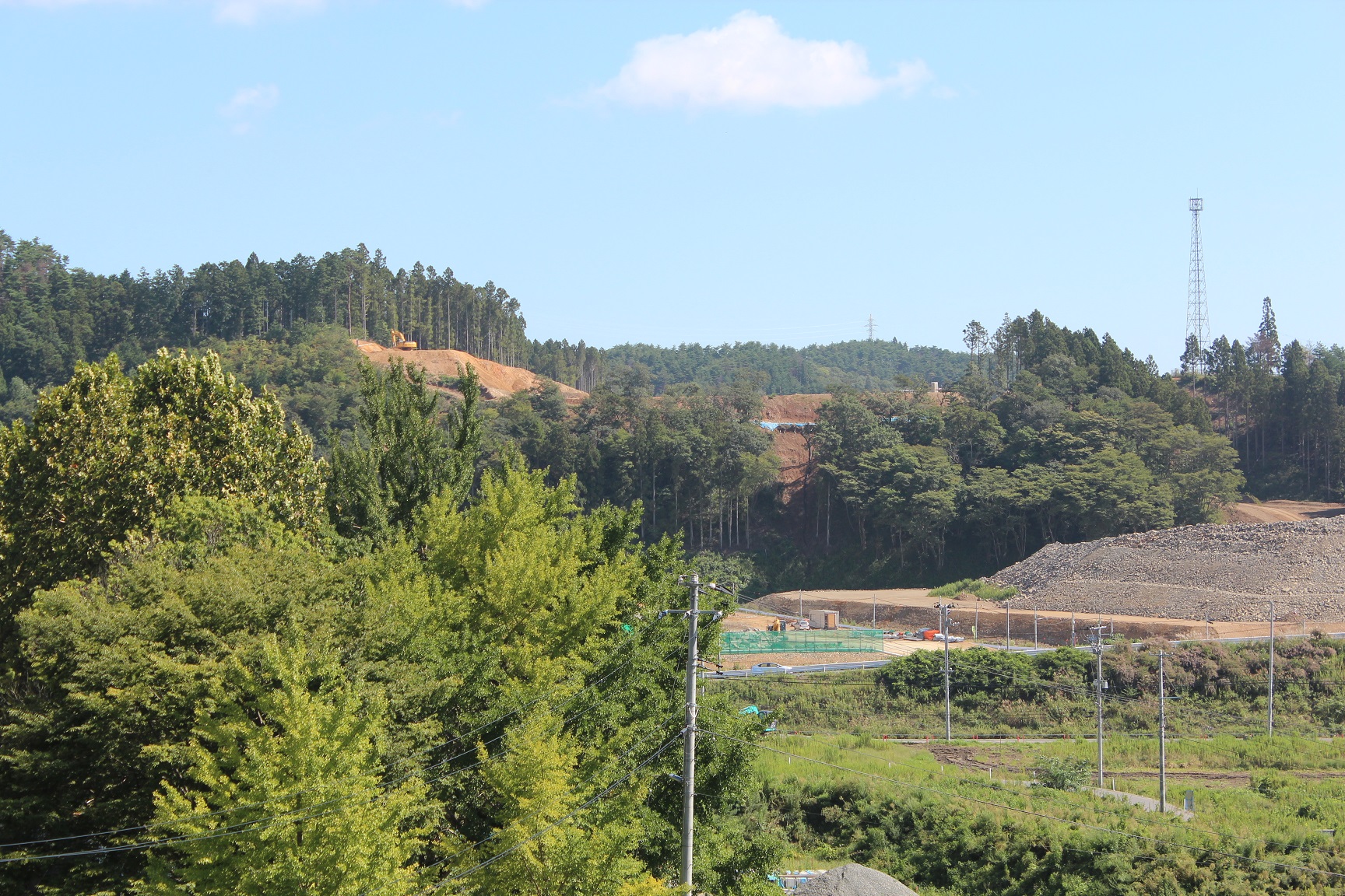 段差をつけて造成され、区画が整えられた斜面の遠景が広がっている写真