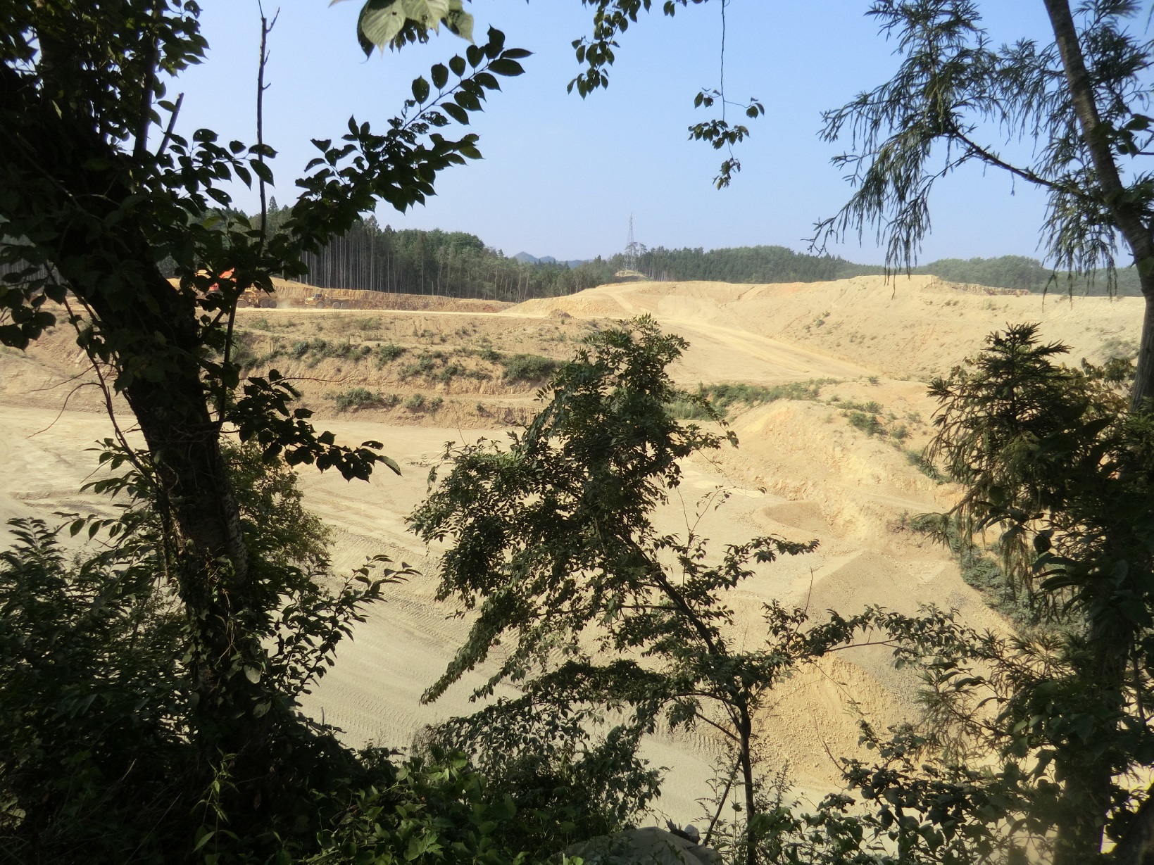 木々の間から造成地の様子を撮影した写真