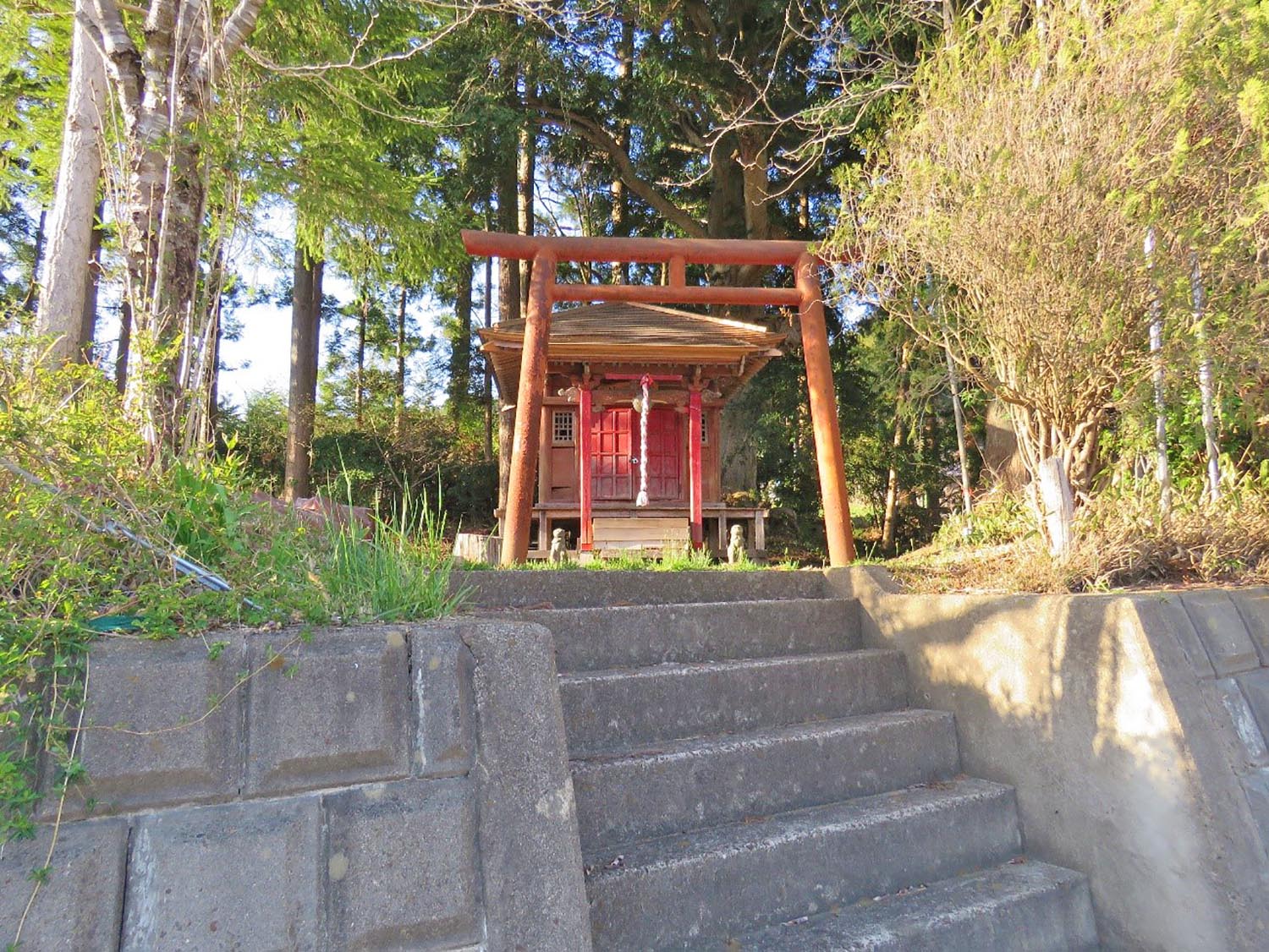 周囲に杉の林が立ち並ぶコンクリートの階段を登った先に、朱色の鳥居と木造の小さな社殿が鎮座する雲南神社の写真