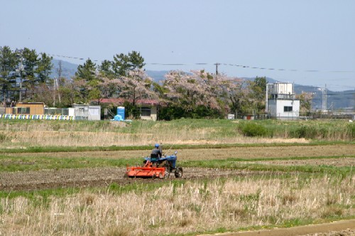 広く開けた農地に、一人の作業者が小型のトラクターに乗って畑の耕作を行っている様子の写真