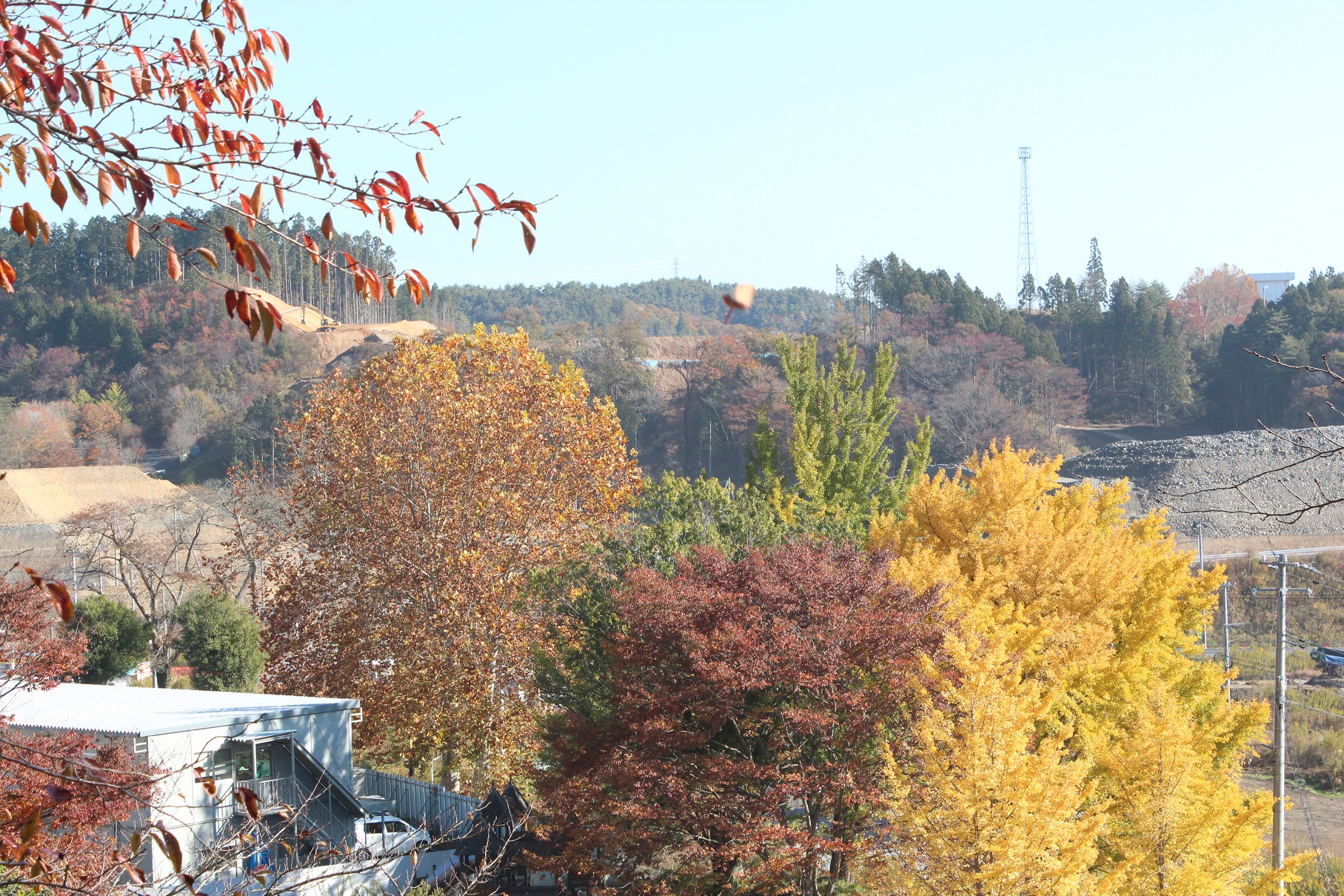 手前左側に外付け階段のあるプレハブ小屋があり、周りの木々が黄色や赤に色付き、奥に切り開かれた造成地が見えている写真