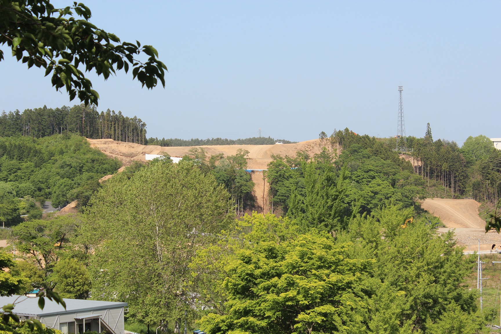 手前に青々とした木々が生え、奥には切り開かれた造成地が見えている写真