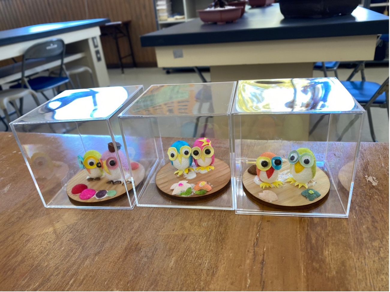 透明なケースに入った小さな色とりどりのフクロウの人形が3組並んでいる写真