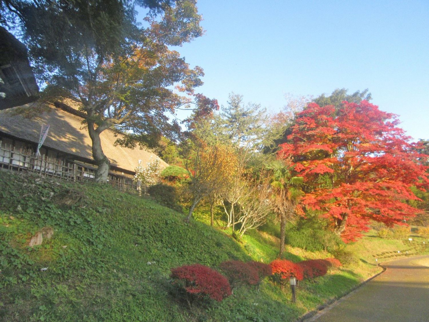 赤や黄に紅葉した木々が茅葺き屋根の家の周囲を彩り、落ち着いた里山の道が穏やかに続く秋の風景の写真