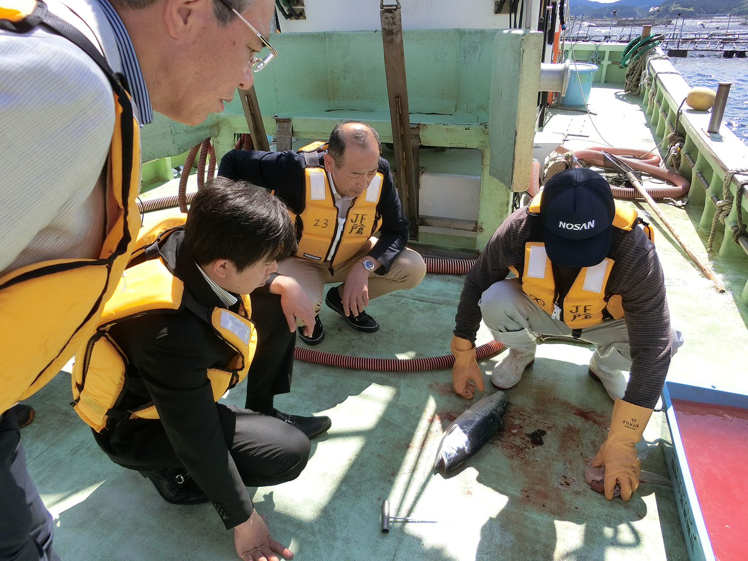 漁船の甲板で漁師が魚を解体し、その様子を数人のスーツ姿の男性が真剣に見守っている写真