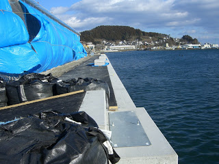 手前に写る黒い土のうの先に青いシートに覆われた防波堤の工事現場が海沿いに続き、奥に町と山が見える写真