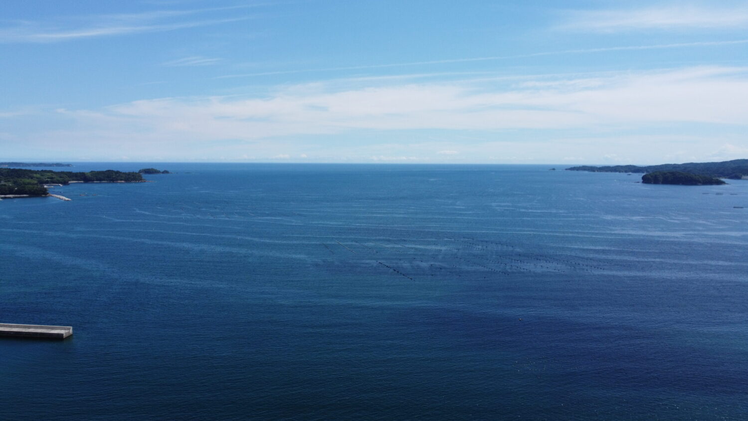 青い空と広がる水平線の下に、海に並ぶいかだや漁業施設が整然と並び、左には防波堤が見える、三陸沿岸の養殖海域を俯瞰した写真