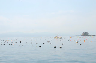 海面にたくさんのうきが浮いている写真