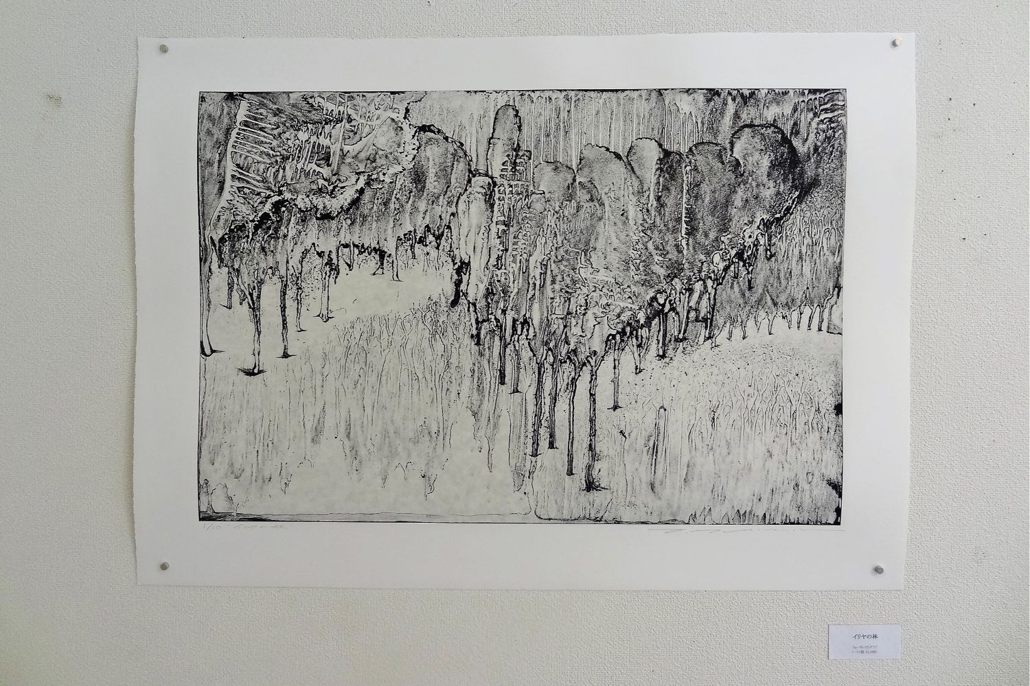 右下に作品名が記載された小さなラベルものが添えられ、木々が密集し、幹や葉が複雑な模様を作り出していて白黒で描かれた森の風景の版画作品が展示されている写真