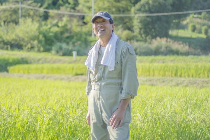 つなぎ服を着て、首からタオルを下げている阿部さんが、青々とした稲が育っている田んぼの前に立っている写真
