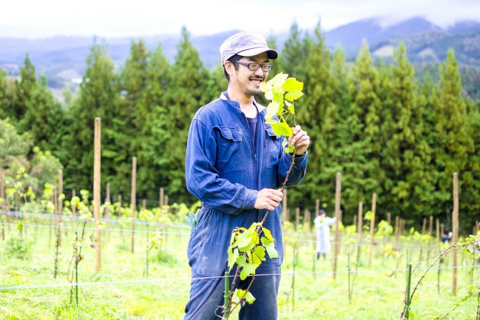 緑豊かな山あいのぶどう畑で、作業着を着た藤田岳さんがブドウの若木を手に微笑んでいる様子の写真