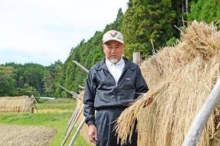 刈った稲を天日干し、一部を手にしている小野さんの写真
