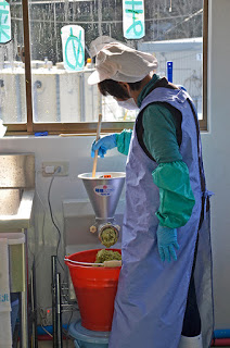 水色のエプロンと緑色の手袋を身に着けた女性が、窓辺に置かれた機械で豆を絞っている写真