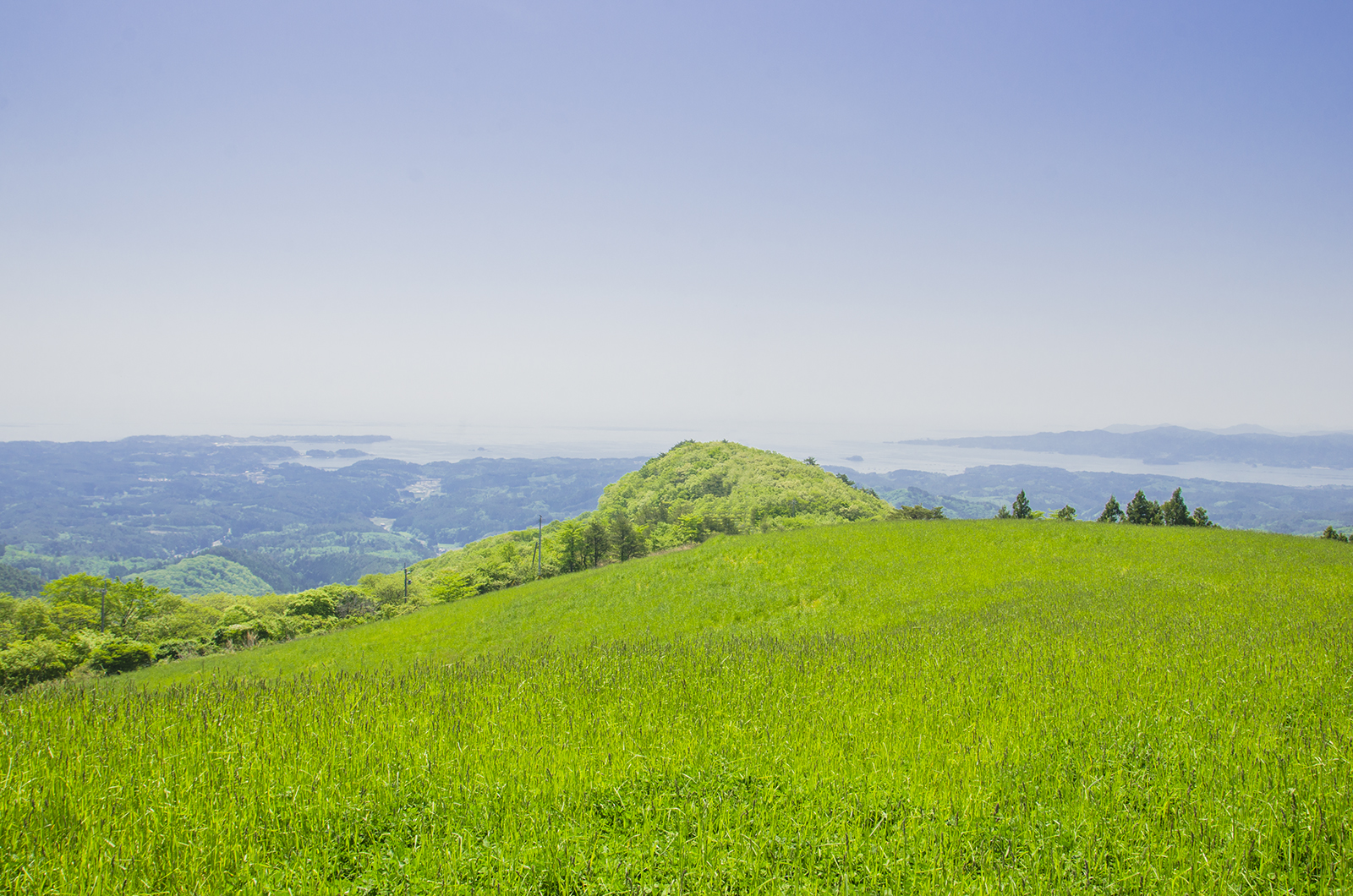 木々に覆われた丘陵地帯と太平洋を望む、鮮やかな緑の草原が広がる山の上からの眺望の写真
