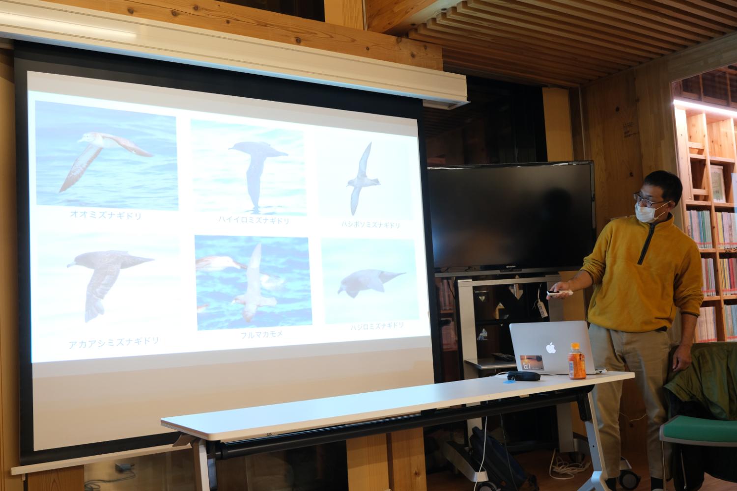 オオミズナギドリやアホウドリなど海鳥の種類を示す複数の写真と説明文が並び、講座で提示された研究結果を示すプレゼン資料の写真