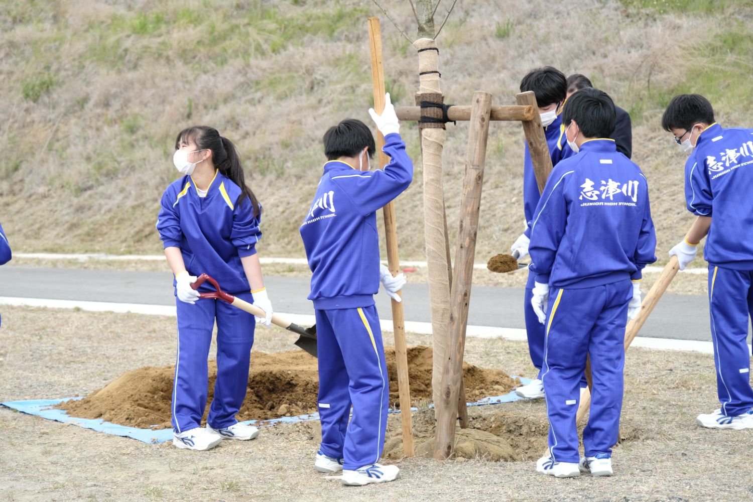 青いジャージを着た生徒たちが支柱で支えられた若木の周りに土を入れながら植樹をしている写真