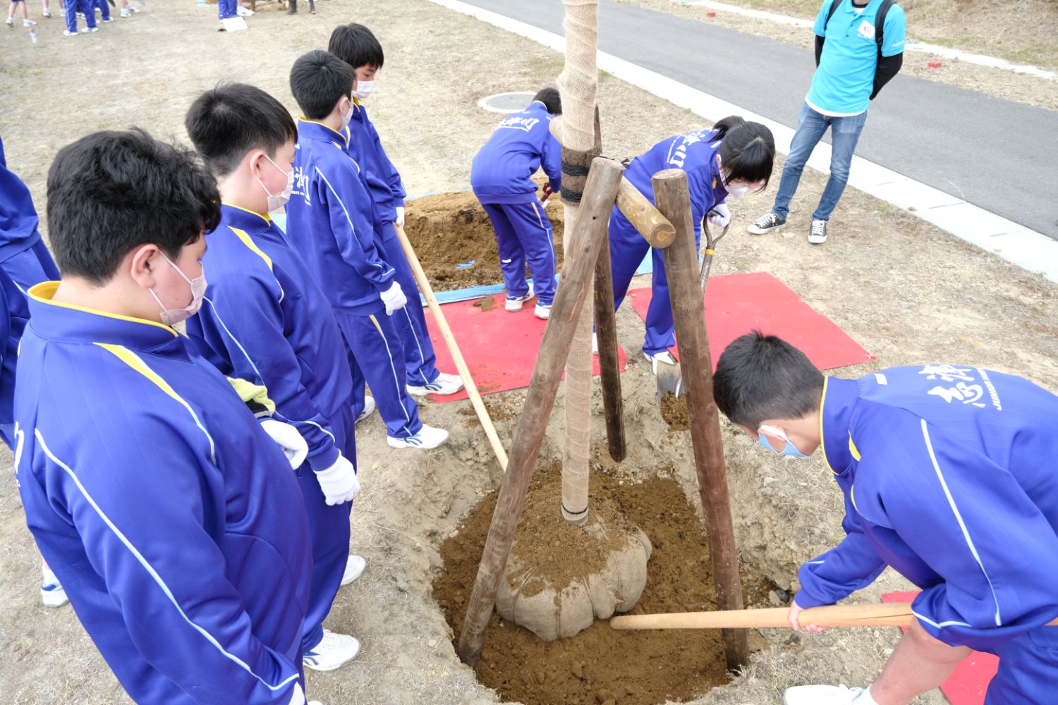 青いジャージを着た生徒が木の苗を囲みながら土を入れて植樹作業をしている写真