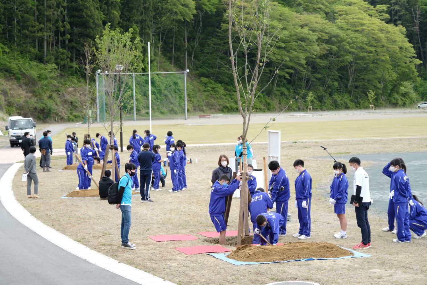 多くの中学生たちが青いジャージを着て数本の木の周りに分かれて苗木を支えたり、土入れをしている作業を全体的に写した写真
