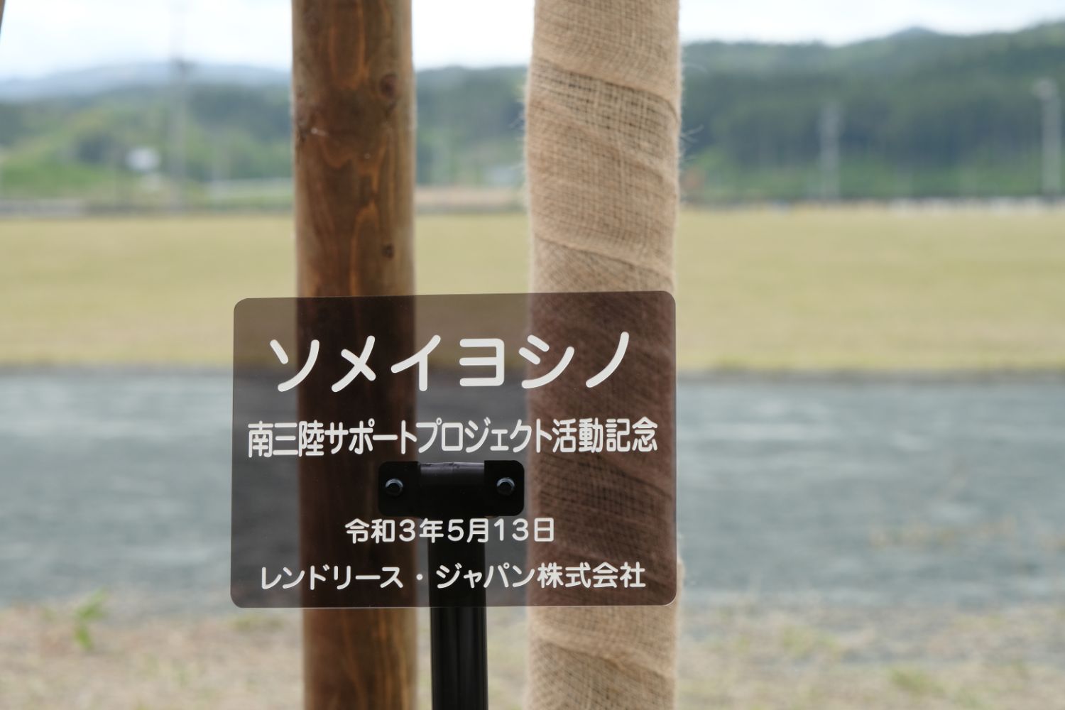 「ソメイヨシノ 南三陸サポートプロジェクト活動記念」と書かれた記念プレートが木の支柱に取り付けられている写真