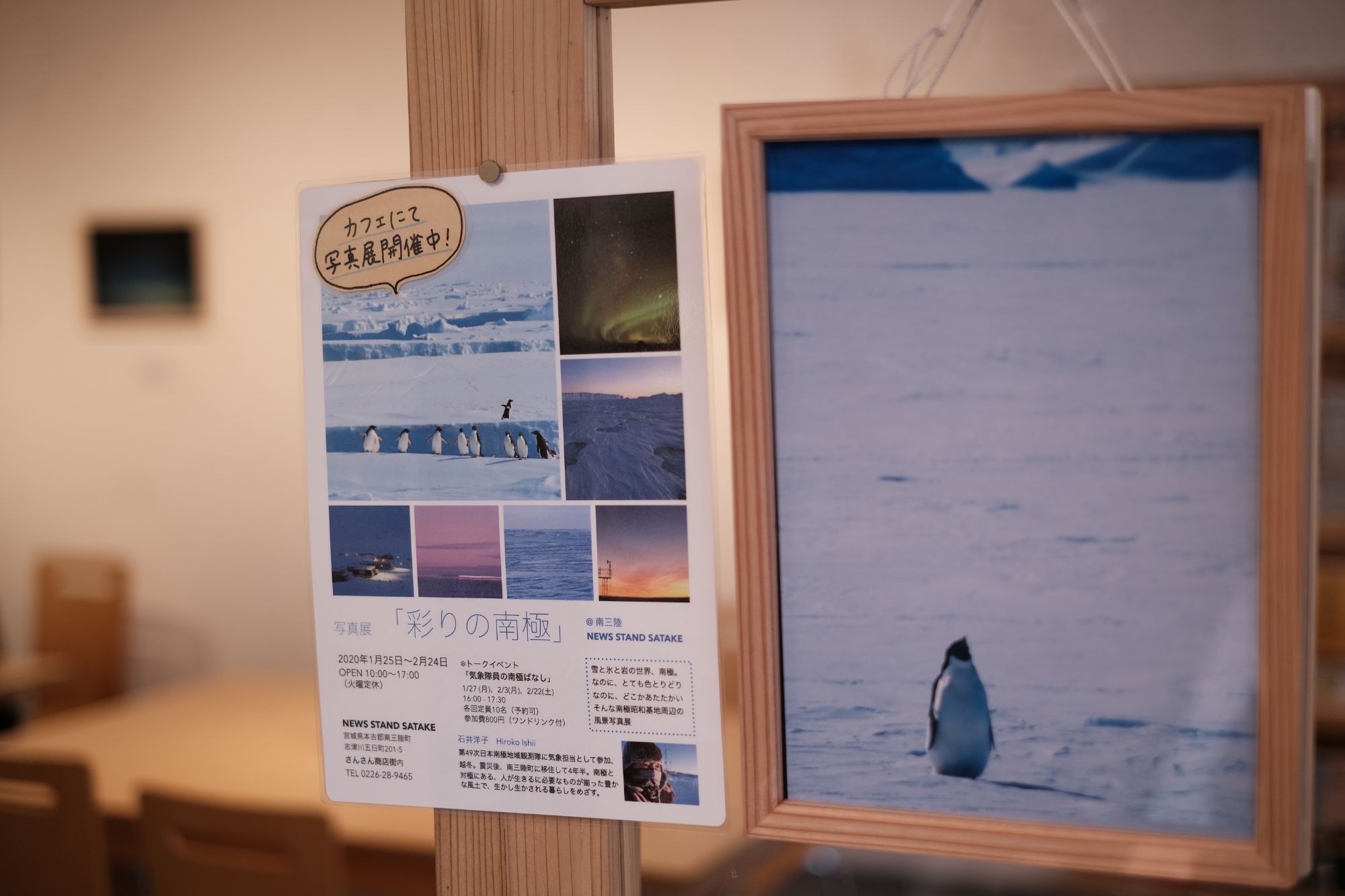 左側には南極の風景やペンギンの写真が多数掲載されたイベント告知のチラシ、右側には氷上に立つ一羽のペンギンの写真が額縁に入れて展示されている写真展の写真