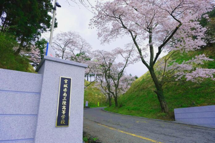 桜が咲き誇る坂道の入り口に立つ、宮城県南三陸高等学校の校門の写真