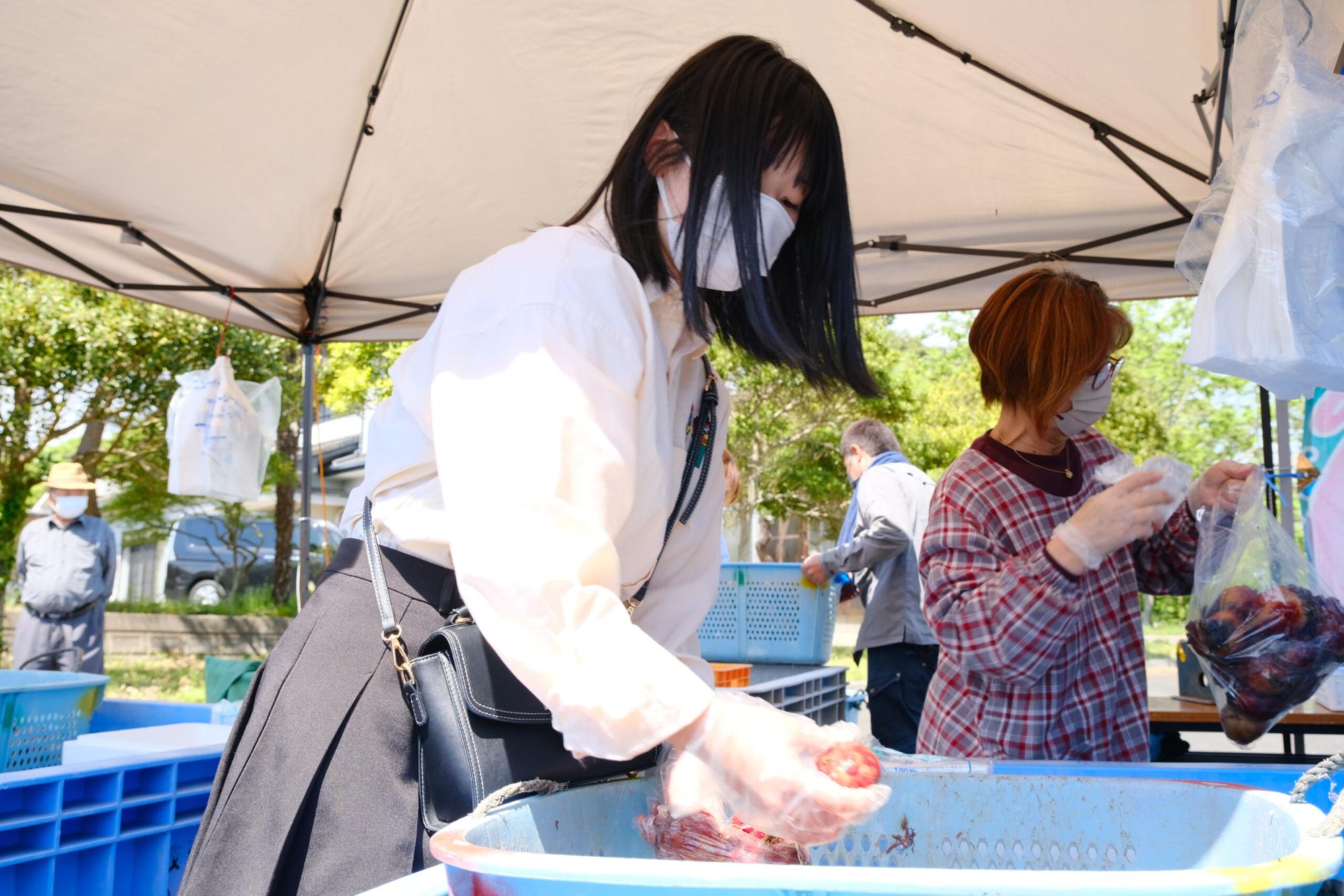 白いシャツを着た女性が、青い容器からほやを取り出しビニール袋に詰めている様子の写真