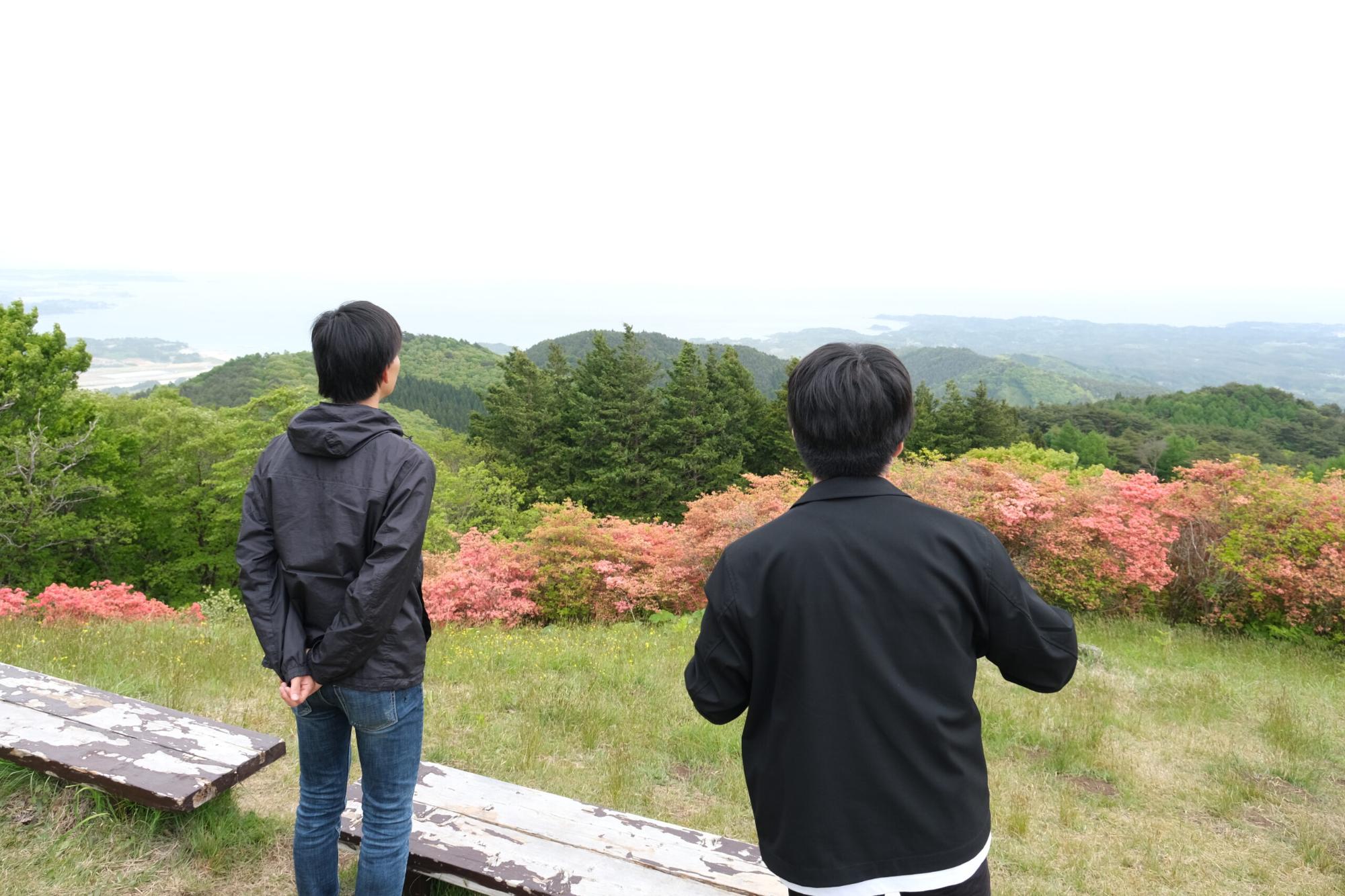 のぶといっちーが山の展望台でピンク色の花をつけたツツジの木々の先に広がる、森と海の景色を眺めている様子の写真