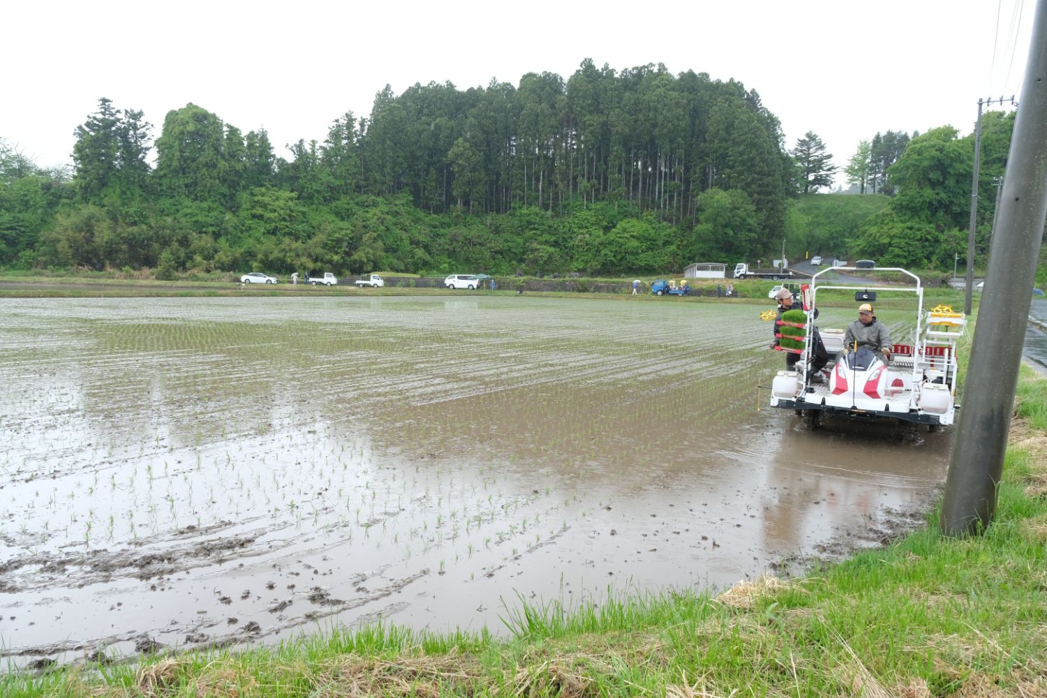 2人の男性が乗った田植え機が田んぼの端を走行している写真
