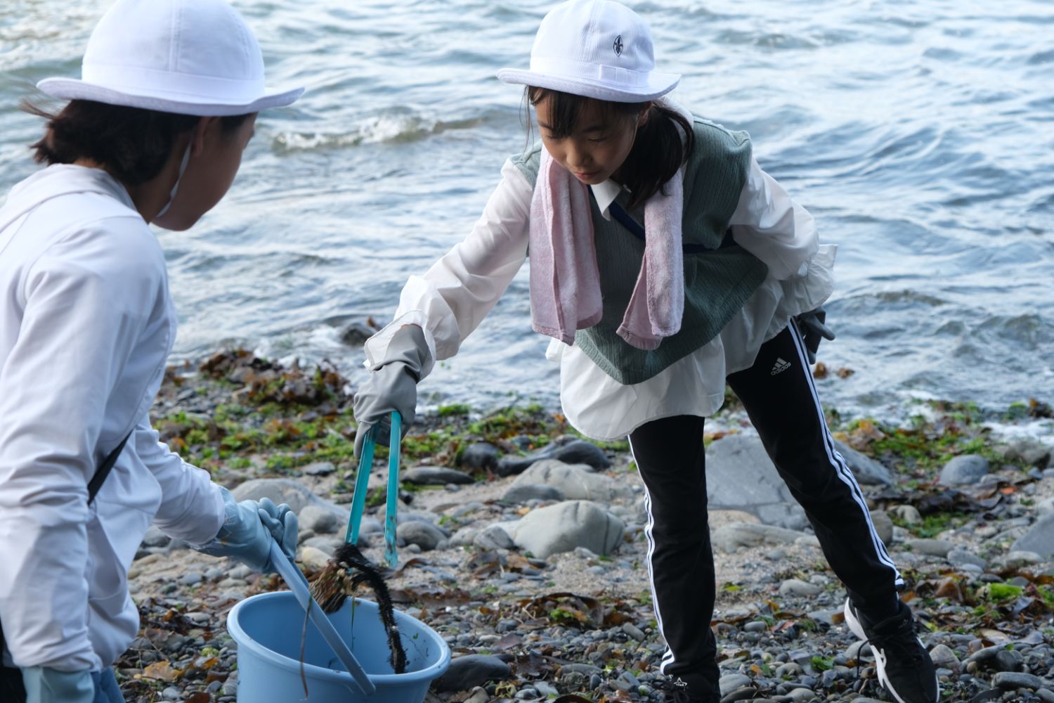 手袋と帽子を着用し、トングで海藻などをバケツに入れて海岸でゴミを拾う子どもたちの写真
