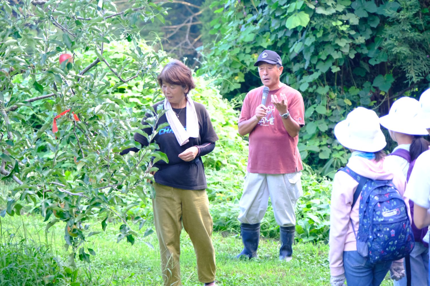 果樹園で農家の方が木について説明しており、子どもたちが帽子をかぶって話を聞いている様子の写真