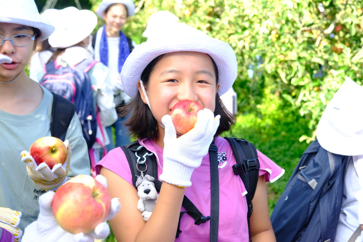 白い帽子と手袋をした女の子が、畑で収穫したリンゴを手に持ち、一人の女の子がリンゴを丸かじりする様子の写真