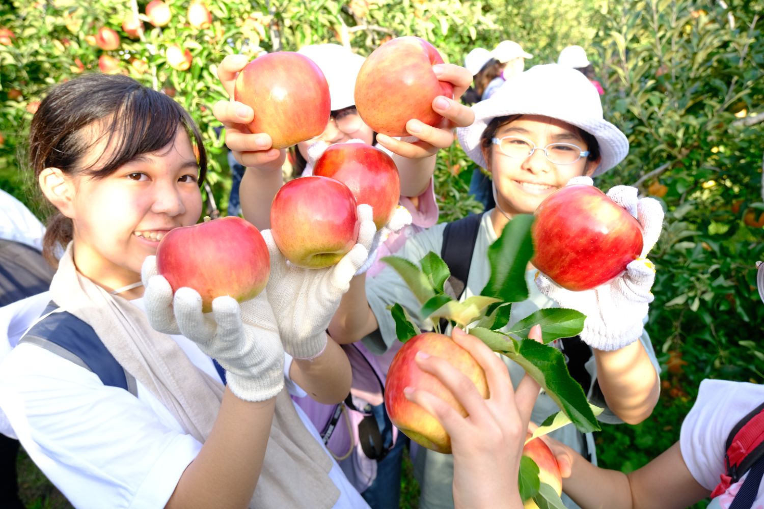 数人の子どもたちが収穫した大きなリンゴを見せながら笑顔でポーズをとっている写真