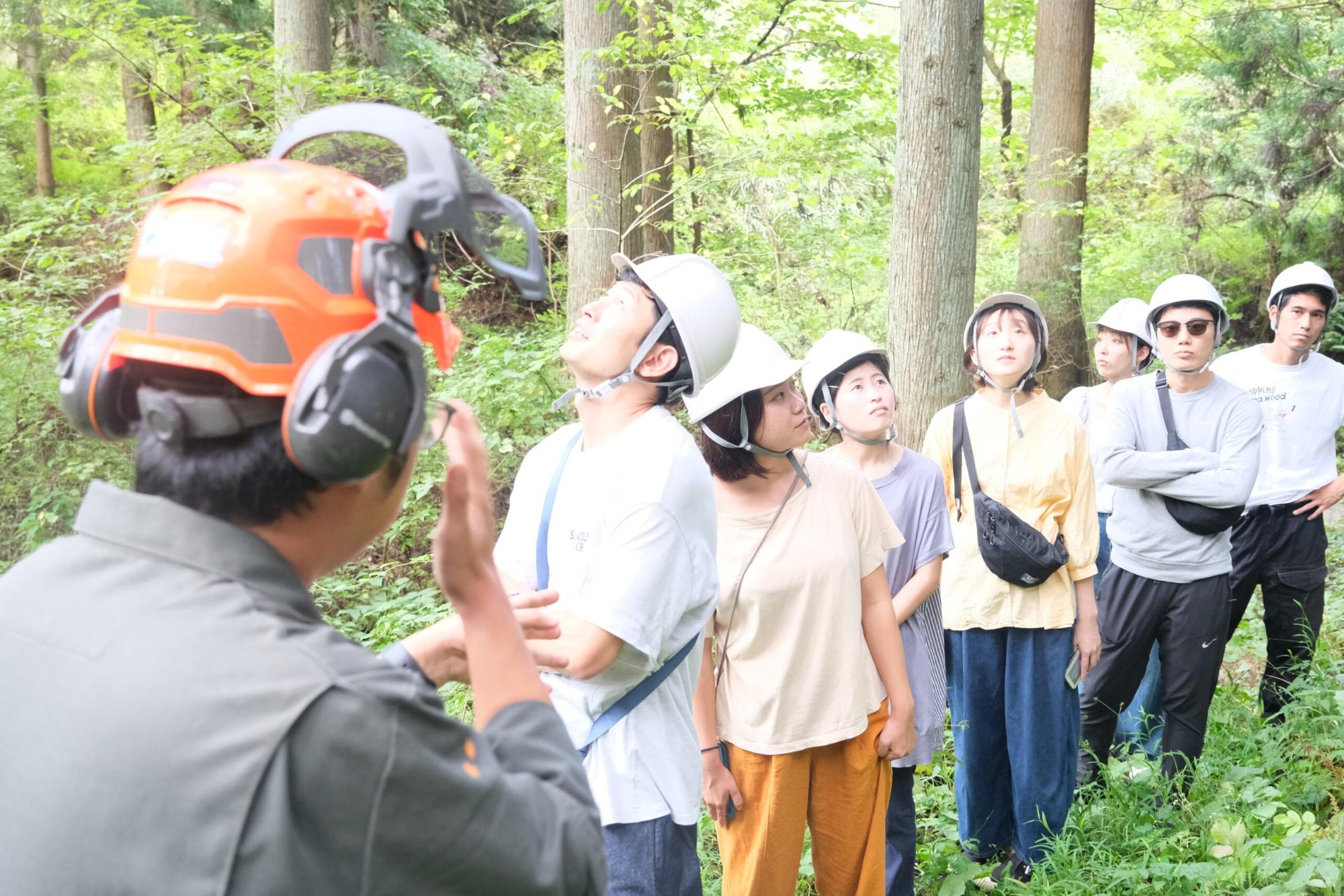 森林の中で白いヘルメットをかぶった参加者たちが佐藤太一さんの話を聞きながら木を見上げ、林業の現場を学んでいる様子の写真