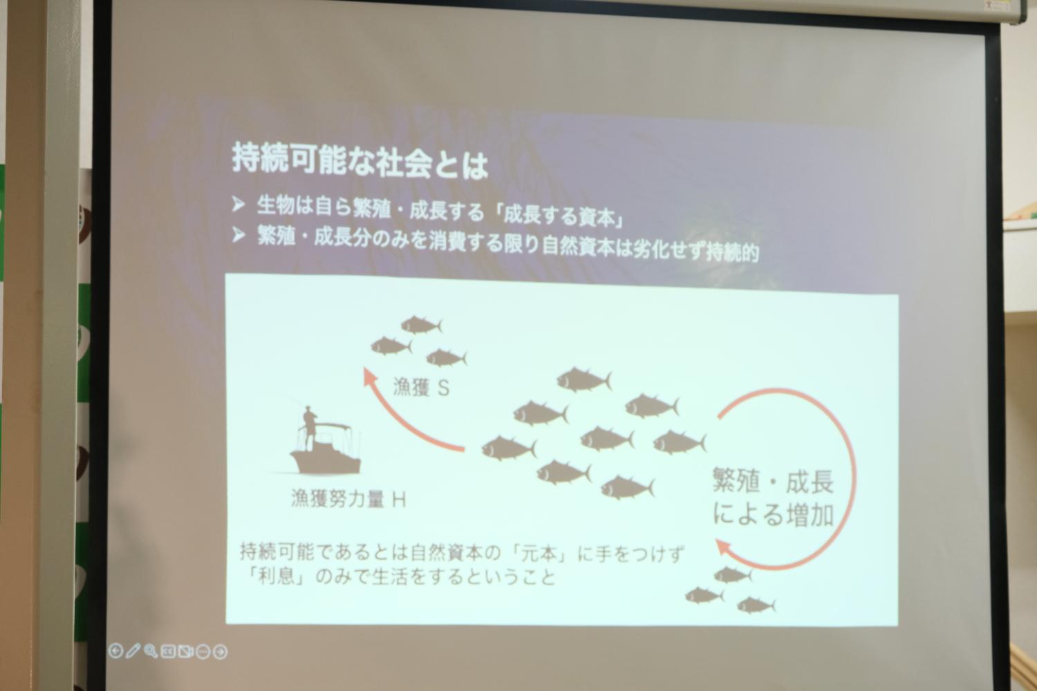 漁獲努力量と漁獲量の関係を示し、過剰・不足の利用による魚の繁殖影響をグラフで解説し、最適な管理により『自然の恵み』を増やせるとするスライドが表示されている写真