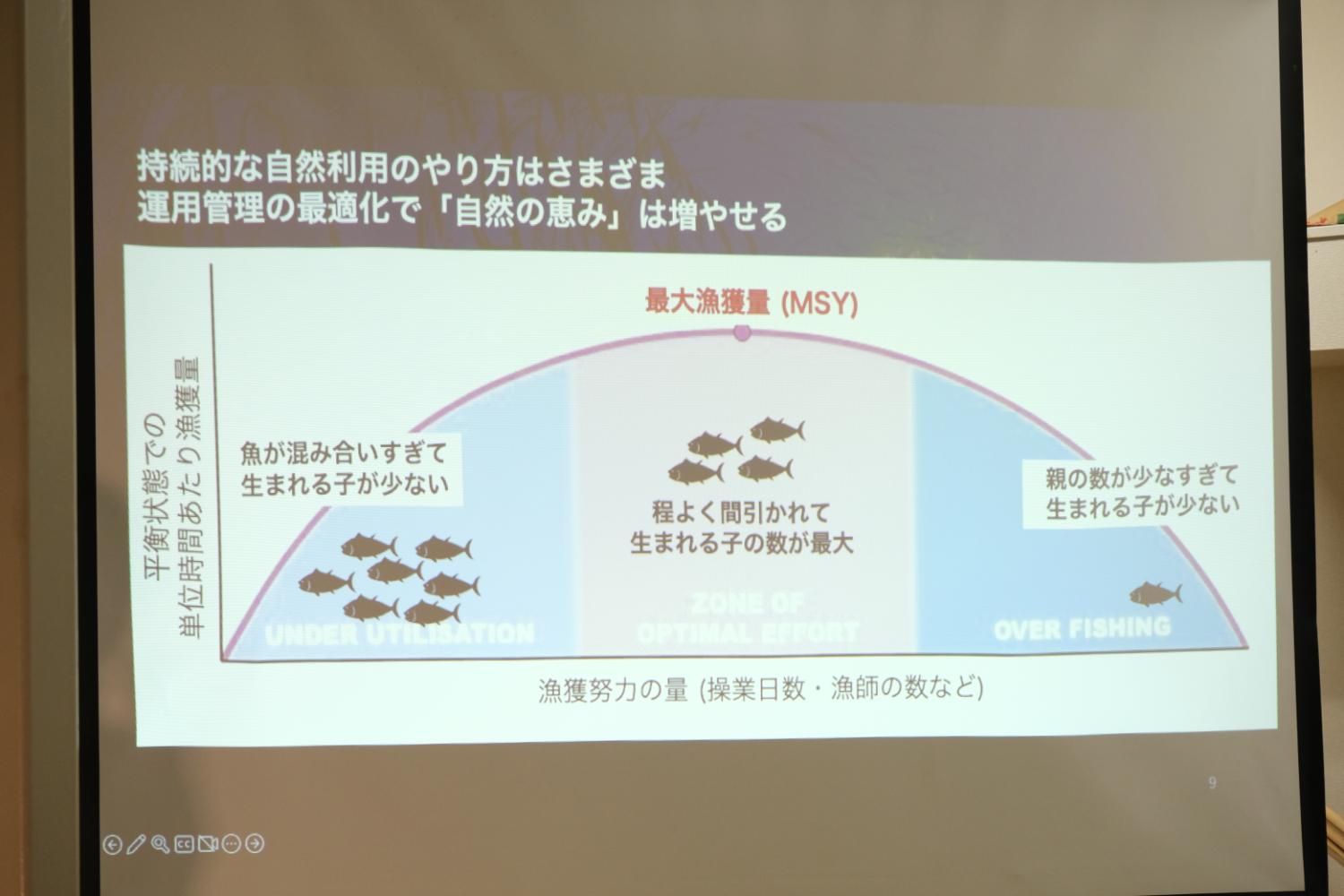 魚の資源管理について、漁獲努力量と漁獲量の関係を示すグラフで、最適な管理によって自然の恵みを増やせることを解説するスライドが表示されている写真