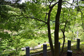 緑の葉の多い木々が手前に映り、その奥に石の柵や灯籠が見える緑あふれる公園内を高台から撮影した風景写真