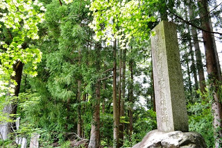 高く伸びた木々が立ち並ぶ森林の中で、一本の細長い石碑が立っている様子の写真