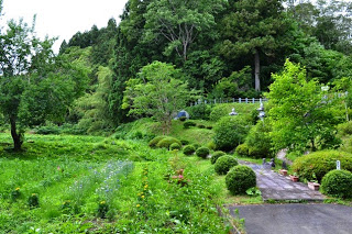 緑豊かな自然の中に整備された遊歩道が続き、色とりどりの花や低木が並ぶ庭園風の公園内の写真