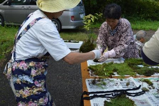 新聞紙を敷いたテーブルの上で苔や植物を使って苔玉を作る作業を、二人の女性が手袋をして協力して行っている写真