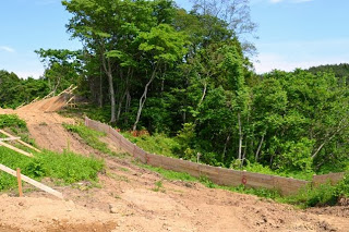 山の斜面に沿って網のような土留めの柵が立てられており、まだ本格的な工事が始まっていない場所の様子を写した仮設防護柵の写真