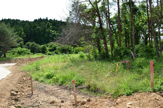 緑の草や木が茂っている広々とした場所に、上部が赤い杭が何か所た立ててある様子を写した写真