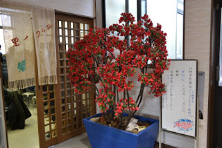 暖簾のかかった会場入り口のドアの前に、青い鉢に入った赤い花を無数につけた大きな盆栽が飾られ、横に白い看板が立てられている写真