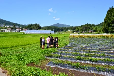 山々と青空を背景に、畑と田んぼの間の畦道に少人数のグループが立ち止まり、農作物を見ている風景の写真